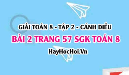 Bài 2 trang 57 Toán 8 Tập 2 Cánh Diều